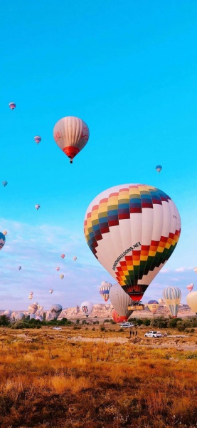 换一张悠闲自得的手机壁纸