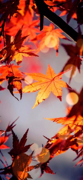 未来的日子还长,请保持微笑