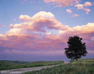 唯美的广告设计图片素材