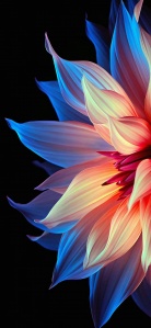 多彩全面屏手机高清壁纸美图，长按下载原图精选4k超清壁纸无水印