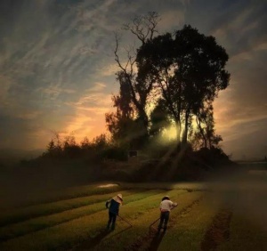 优秀摄影作品欣赏