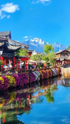 走进魅力丽江古城。️走进古城，花朵缤纷绚烂