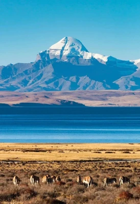 无阿里不西藏最值得去的景点