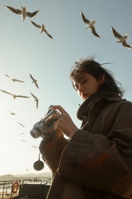 海燕和人的故事