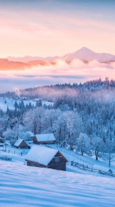 雪景的优美学会分享的摄影