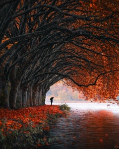 摄影大神镜头里的世界